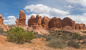 Preview wallpaper desert, canyons, bushes, vegetation