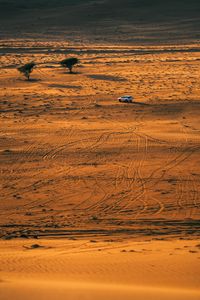 Preview wallpaper desert, car, aerial view, sand, nature