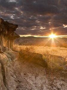 Preview wallpaper desert, decline, evening, canyon, stones