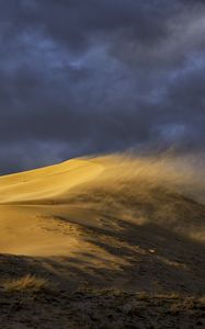 Preview wallpaper desert, dune, sand, wind