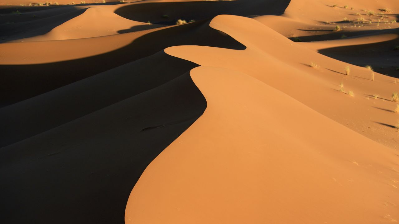 Wallpaper desert, dune, sand, relief