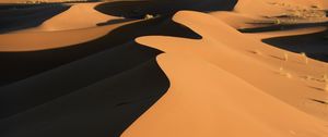 Preview wallpaper desert, dune, sand, relief