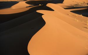 Preview wallpaper desert, dune, sand, relief