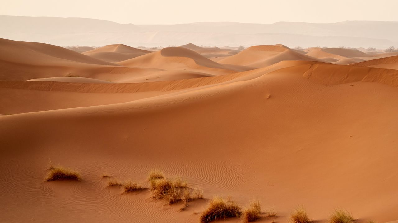 Wallpaper desert, dunes, hills, sand, nature