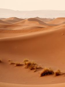 Preview wallpaper desert, dunes, hills, sand, nature