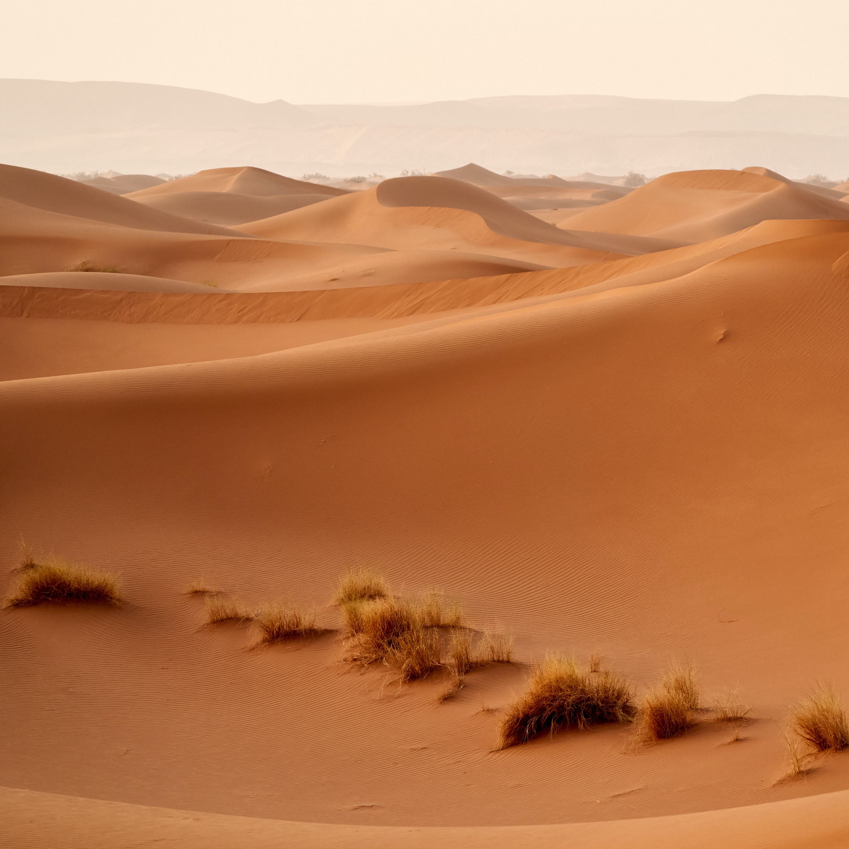 Download Wallpaper 2780x2780 Desert Dunes Hills Sand Nature Ipad