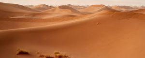 Preview wallpaper desert, dunes, hills, sand, nature