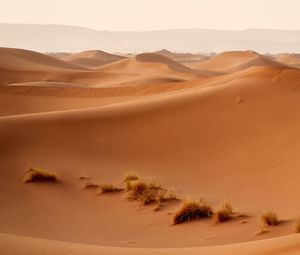 Preview wallpaper desert, dunes, hills, sand, nature