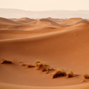 Preview wallpaper desert, dunes, hills, sand, nature