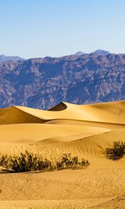 Preview wallpaper desert, dunes, mountains, sand, bushes, nature