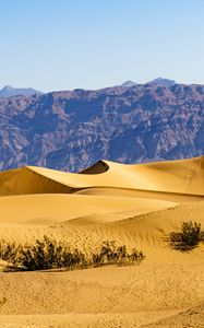 Preview wallpaper desert, dunes, mountains, sand, bushes, nature