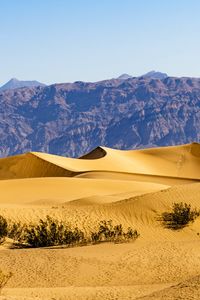 Preview wallpaper desert, dunes, mountains, sand, bushes, nature