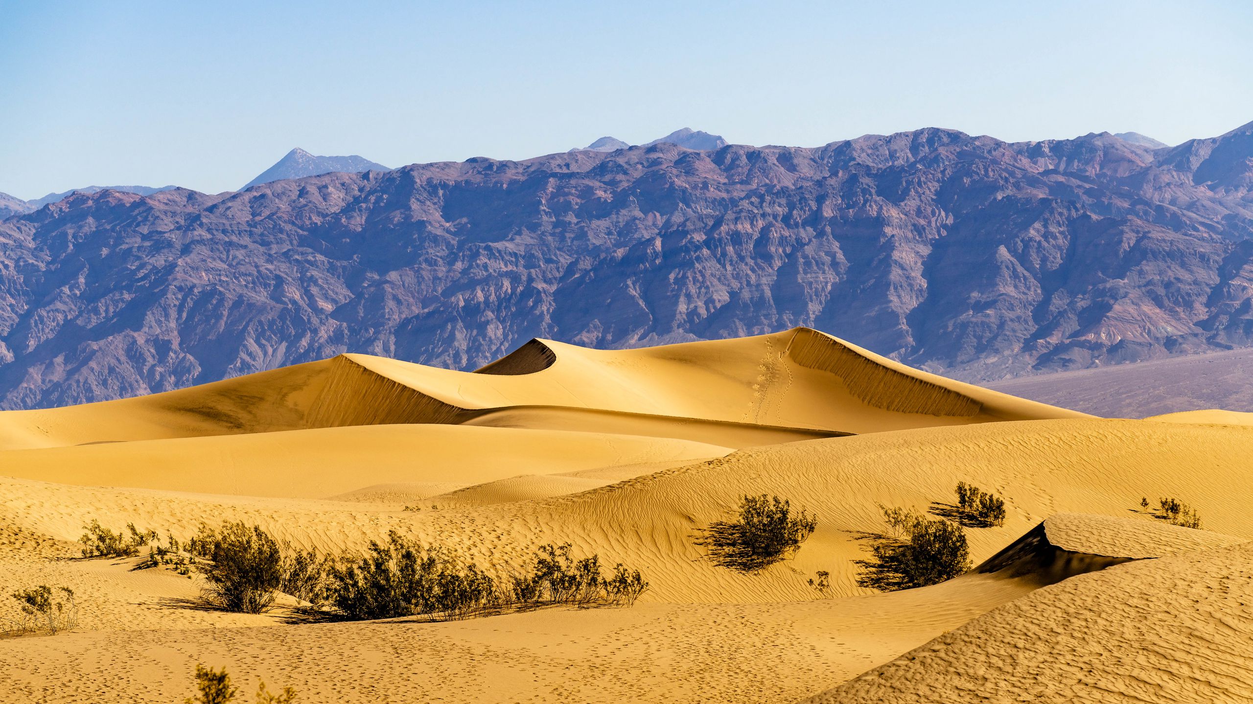 Download wallpaper 2560x1440 desert, dunes, mountains, sand, bushes ...