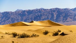 Preview wallpaper desert, dunes, mountains, sand, bushes, nature