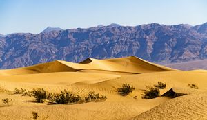 Preview wallpaper desert, dunes, mountains, sand, bushes, nature