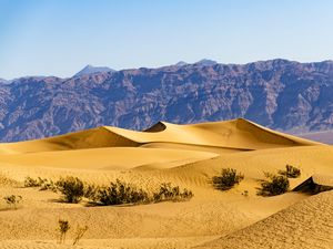 Preview wallpaper desert, dunes, mountains, sand, bushes, nature