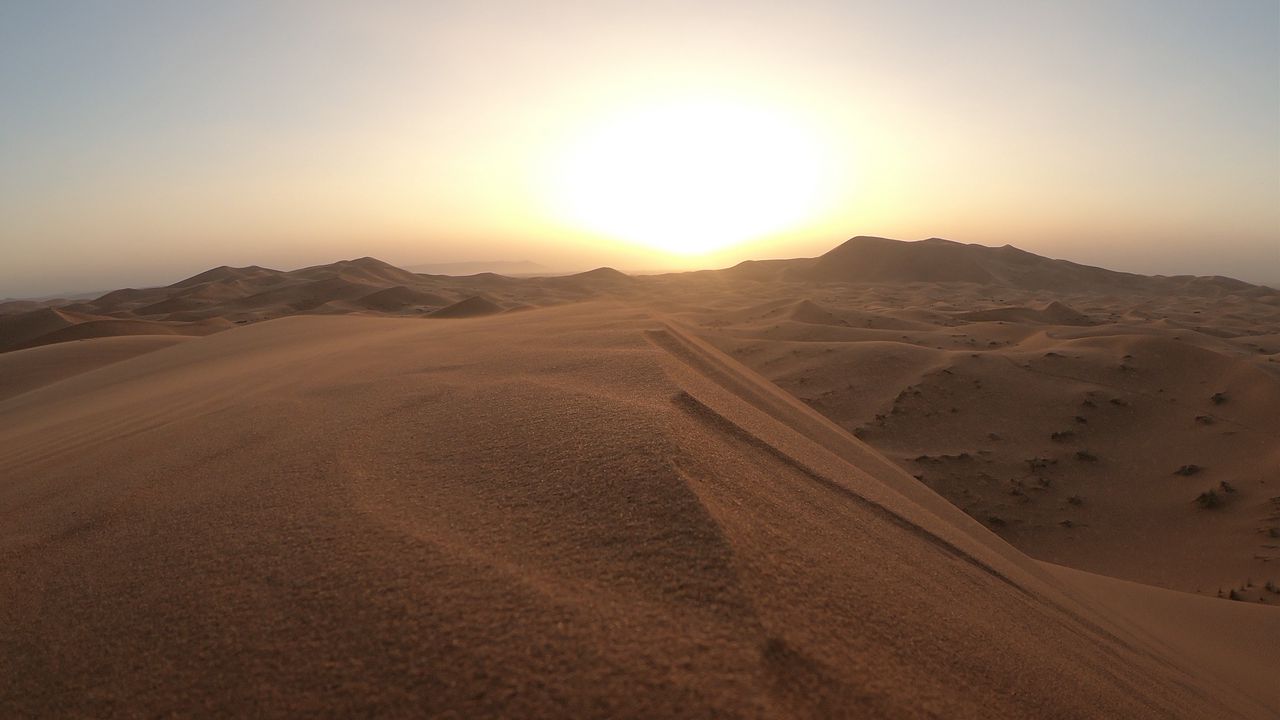 Wallpaper desert, dunes, sand, sunset, wildlife