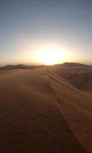 Preview wallpaper desert, dunes, sand, sunset, wildlife