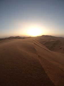 Preview wallpaper desert, dunes, sand, sunset, wildlife