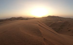 Preview wallpaper desert, dunes, sand, sunset, wildlife