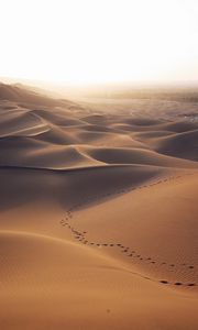 Preview wallpaper desert, dunes, sand, traces, landscape