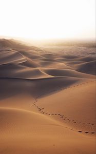 Preview wallpaper desert, dunes, sand, traces, landscape