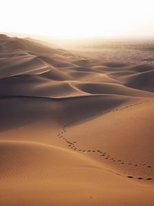 Preview wallpaper desert, dunes, sand, traces, landscape