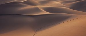Preview wallpaper desert, dunes, sand, traces, landscape