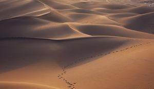 Preview wallpaper desert, dunes, sand, traces, landscape
