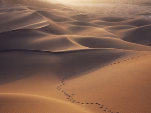 Preview wallpaper desert, dunes, sand, traces, landscape