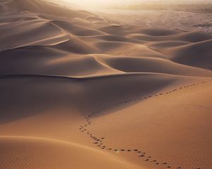 Preview wallpaper desert, dunes, sand, traces, landscape