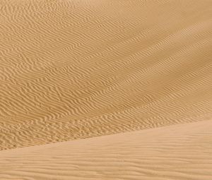 Preview wallpaper desert, dunes, sand, wavy