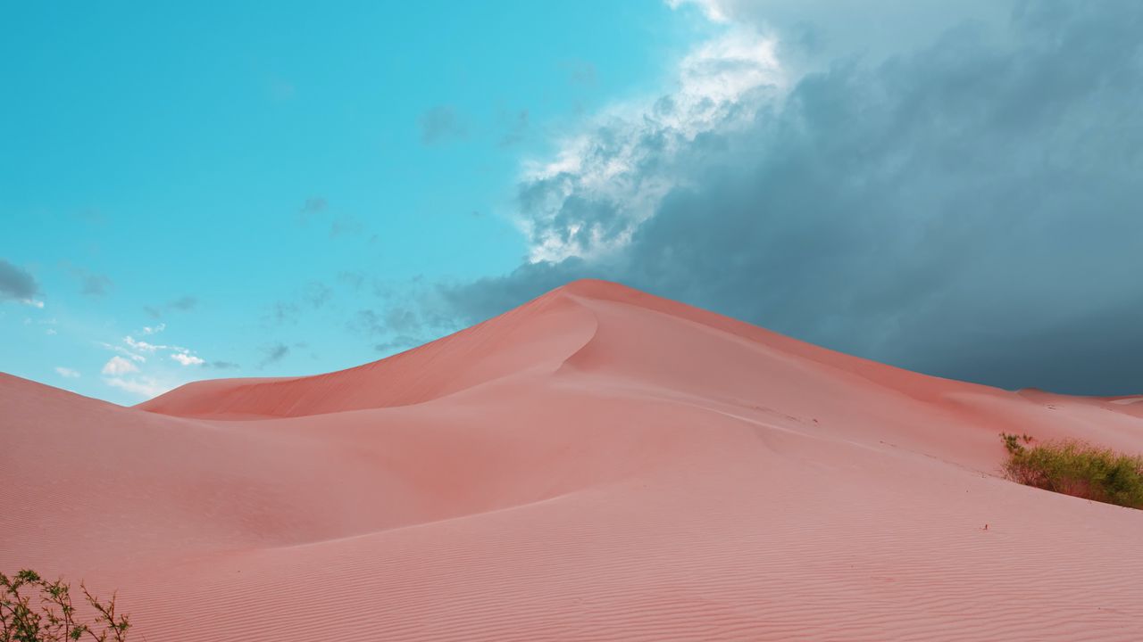 Wallpaper desert, dunes, sand, bushes, trace