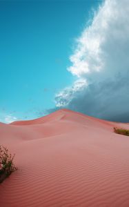 Preview wallpaper desert, dunes, sand, bushes, trace