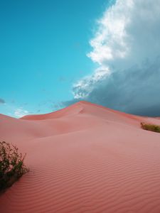 Preview wallpaper desert, dunes, sand, bushes, trace