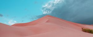 Preview wallpaper desert, dunes, sand, bushes, trace