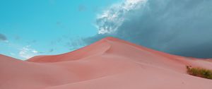 Preview wallpaper desert, dunes, sand, bushes, trace