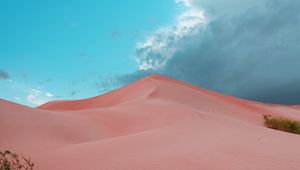 Preview wallpaper desert, dunes, sand, bushes, trace