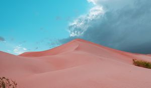 Preview wallpaper desert, dunes, sand, bushes, trace