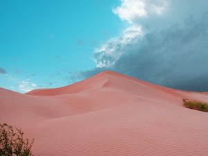 Preview wallpaper desert, dunes, sand, bushes, trace