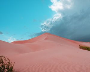 Preview wallpaper desert, dunes, sand, bushes, trace