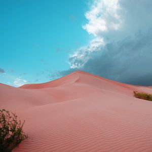 Preview wallpaper desert, dunes, sand, bushes, trace