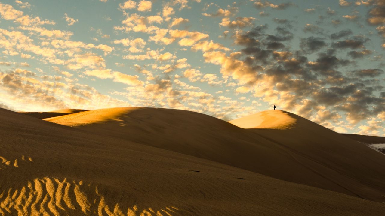 Wallpaper desert, dunes, sand, silhouette, alone