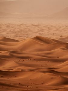 Preview wallpaper desert, dunes, sand, sandstorm