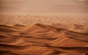 Preview wallpaper desert, dunes, sand, sandstorm