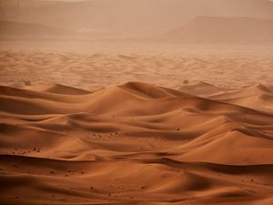 Preview wallpaper desert, dunes, sand, sandstorm