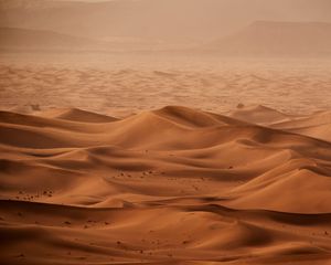 Preview wallpaper desert, dunes, sand, sandstorm