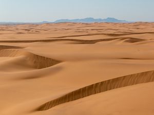 Preview wallpaper desert, dunes, sand, landscape