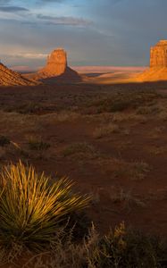 Preview wallpaper desert, evening, vegetation, shade, canyons