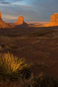 Preview wallpaper desert, evening, vegetation, shade, canyons